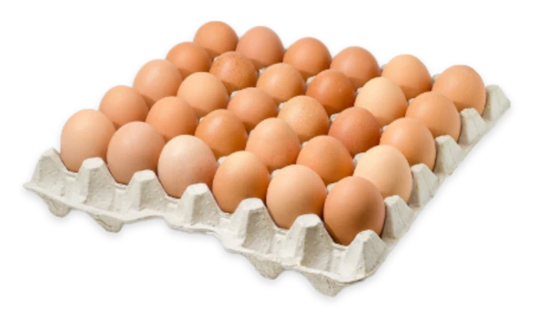 Free Run Shell Eggs
