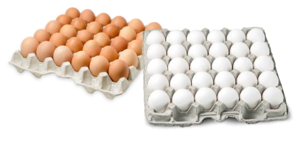 Organic Shell Eggs