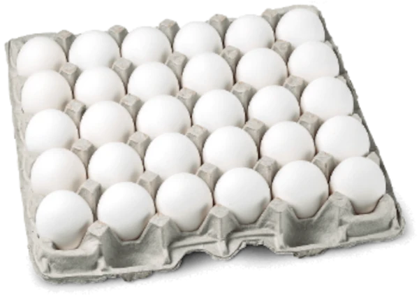Omega-3 Shell Eggs