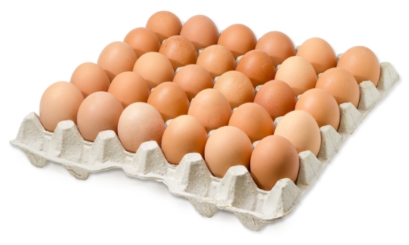 Free Run Shell Eggs
