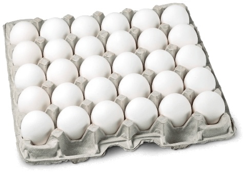 Regular Shell Eggs